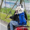 Sac de transport pour chien de randonnée - Blue / L(9-11kgs)
