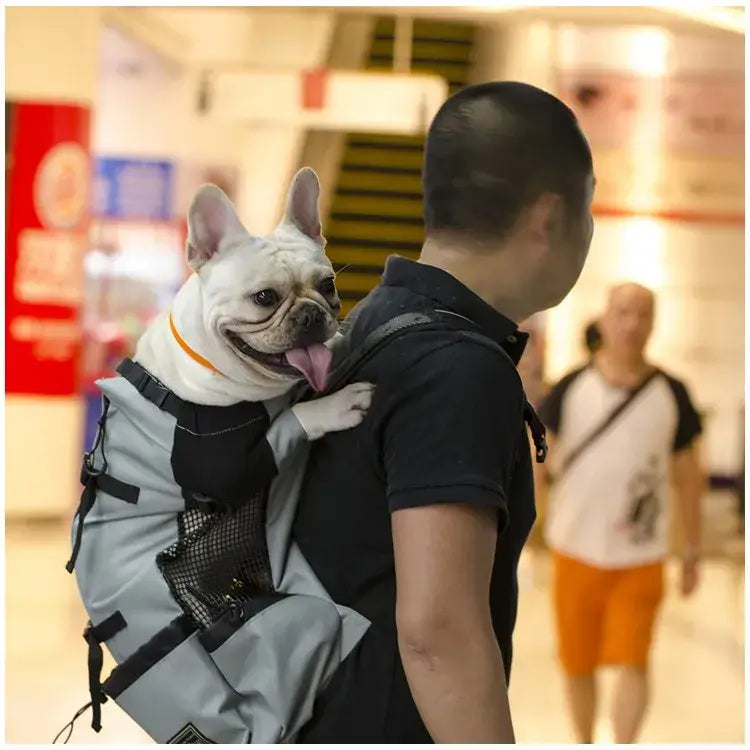Sac de transport pour chien de randonnée - Grey / L(9-11kgs)