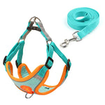 Sangle de poitrine pour chien - cyan / XS 0.5-1.5kg / spain
