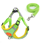 Sangle de poitrine pour chien - green / XS 0.5-1.5kg / spain