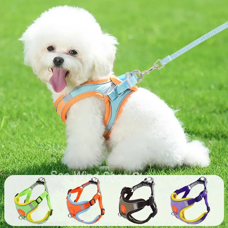 Sangle de poitrine pour chien