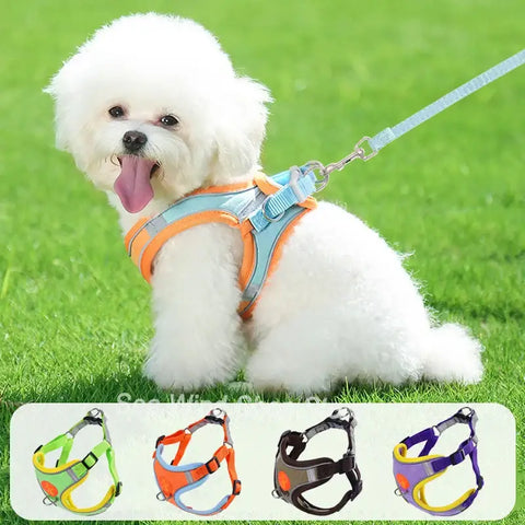 Sangle de poitrine pour chien