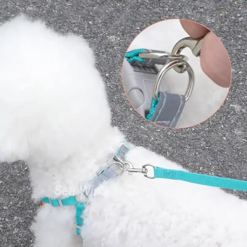 Sangle de poitrine pour chien