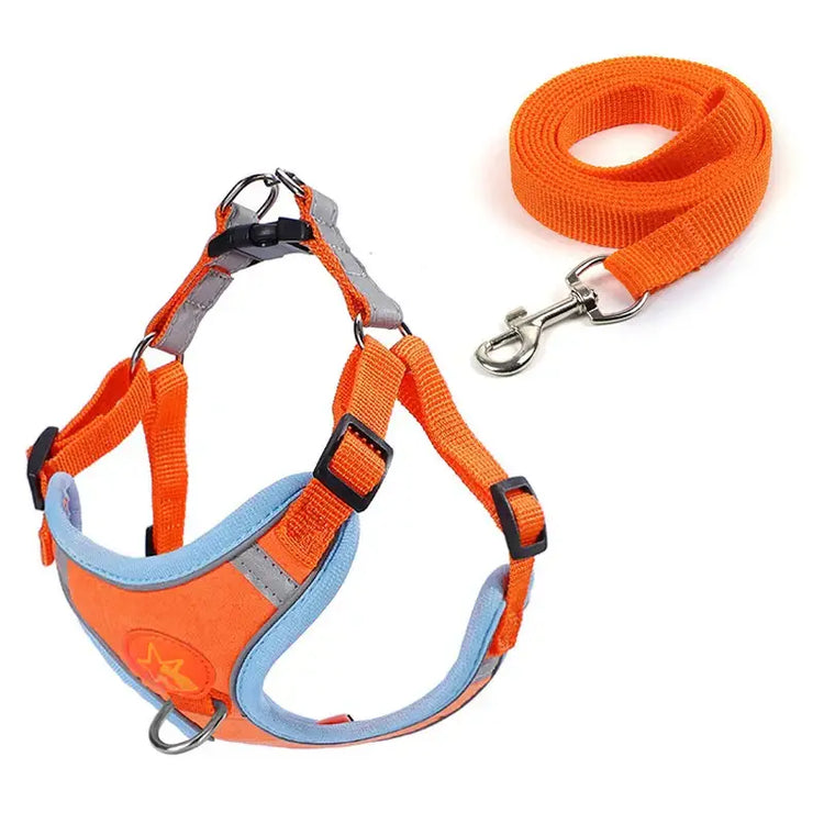Sangle de poitrine pour chien - Orange / XS 0.5-1.5kg / spain