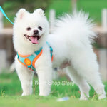Sangle de poitrine pour chien