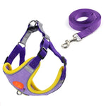 Sangle de poitrine pour chien - PURPLE / XS 0.5-1.5kg / spain