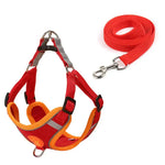 Sangle de poitrine pour chien - Red / XS 0.5-1.5kg / spain