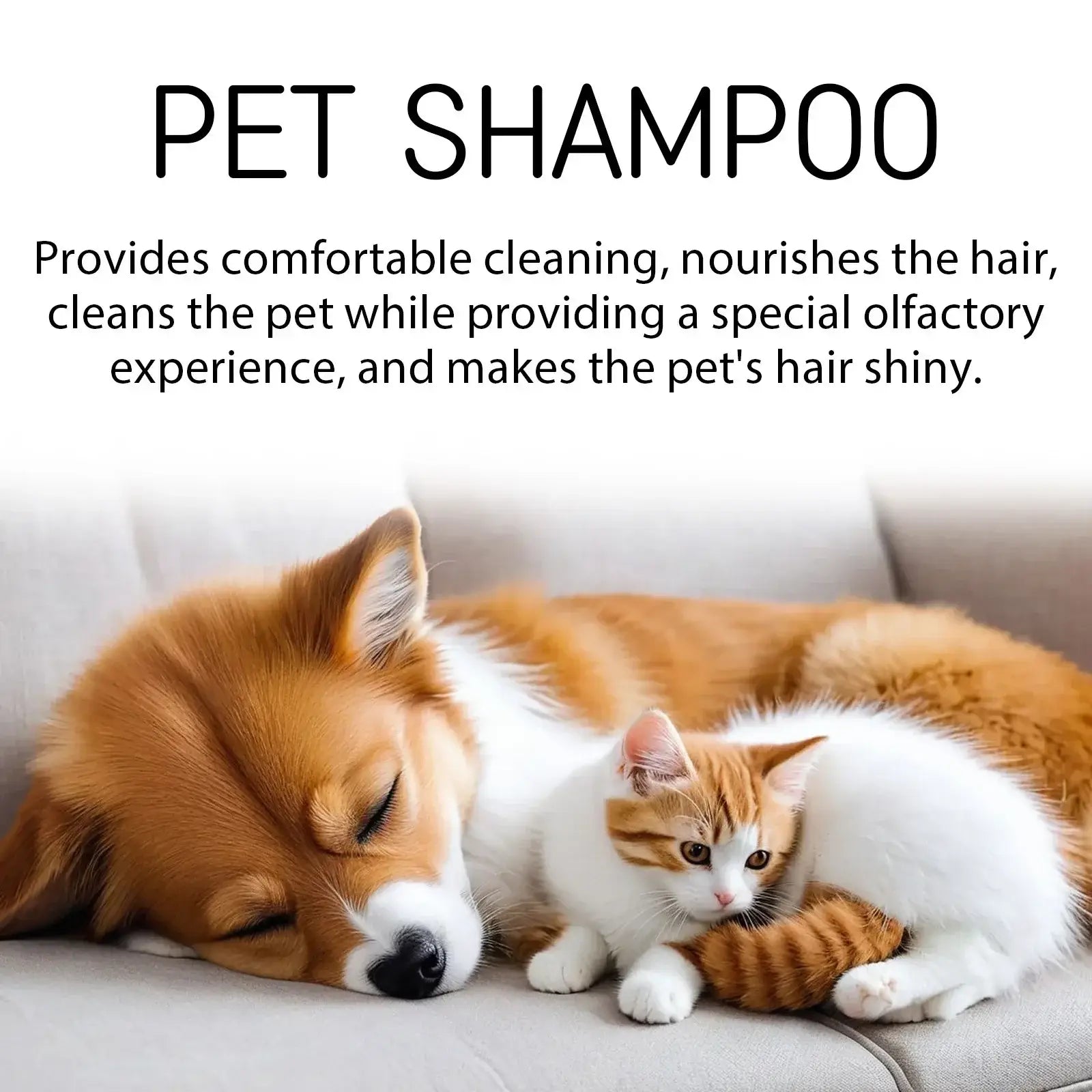 Shampoing hydratant pour chiots