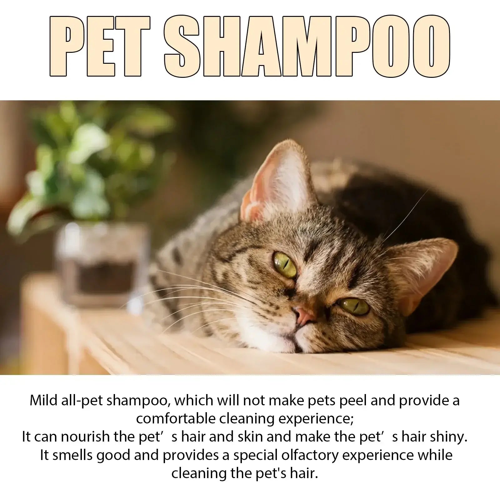 Shampoing hydratant pour chiots