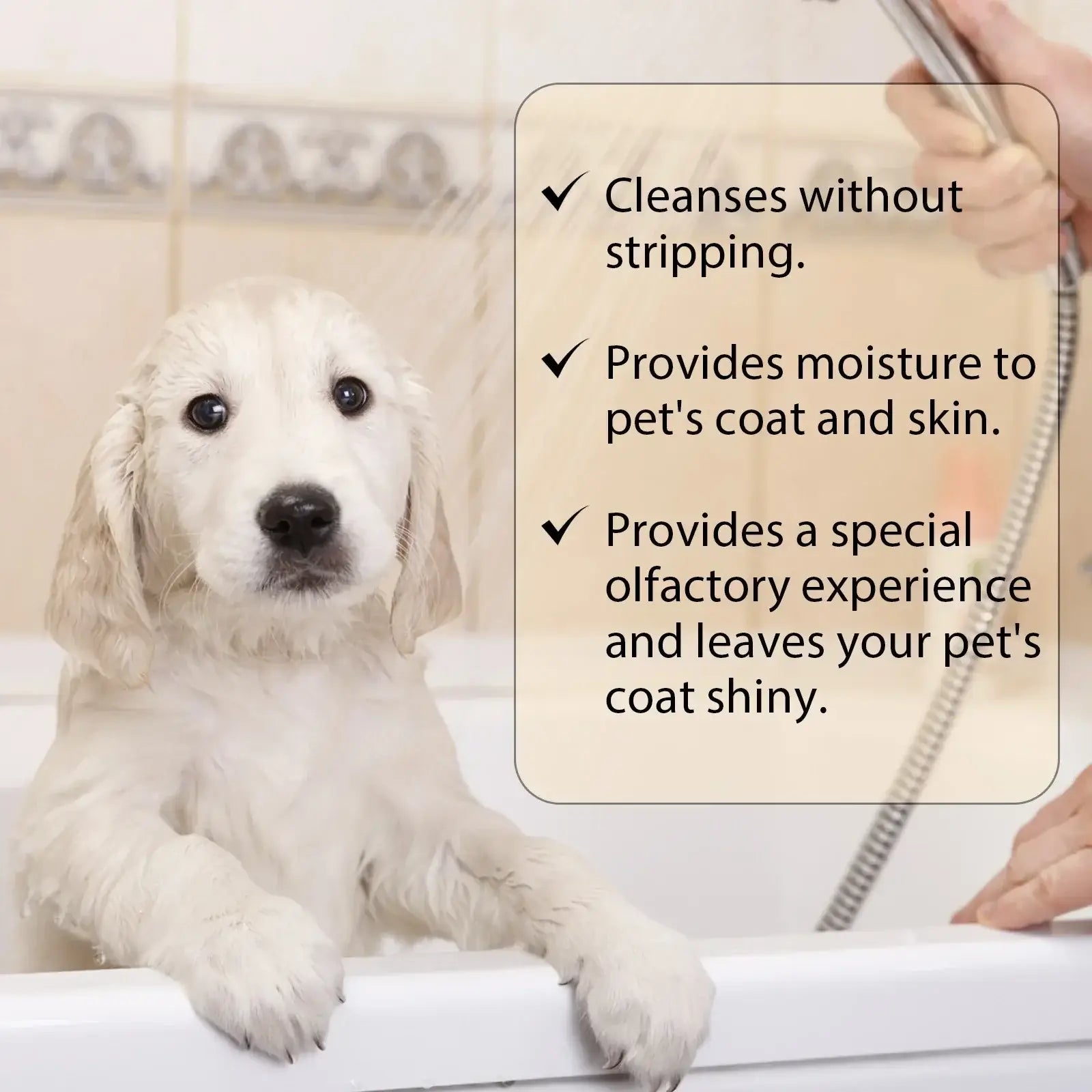Shampoing hydratant pour chiots