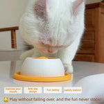 Slow Feeder & Lick Mat: Dog/Cat Enrichment Toys for Mental Stimulation Puppy Training Puzzle Feeder Pet Food Dispenser