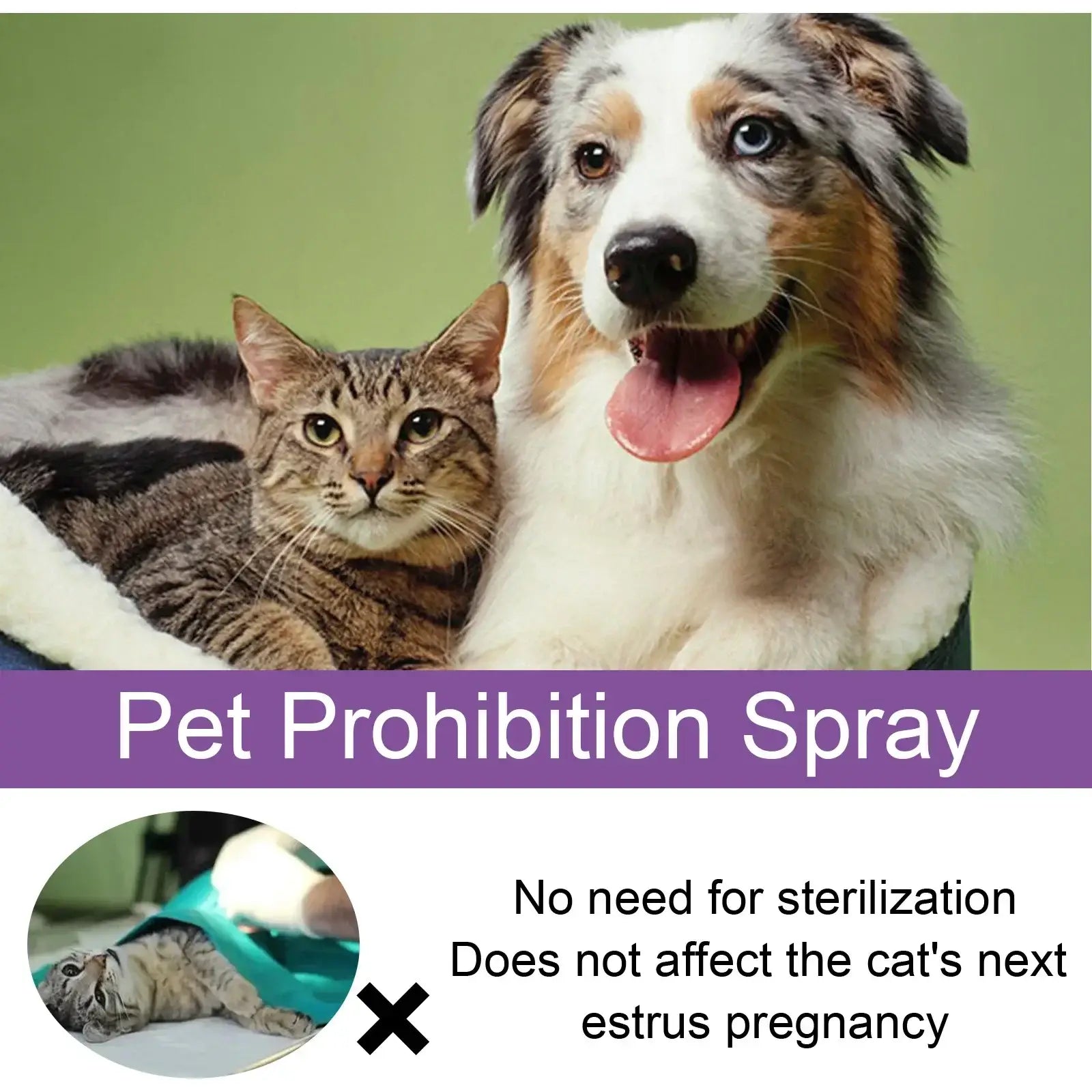 Spray Apaisant aux Phéromones Naturelles pour Chien et Chat - Réduit l'Agitation — photo 5