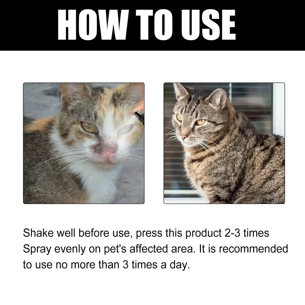 Spray pour chat à action rapide
