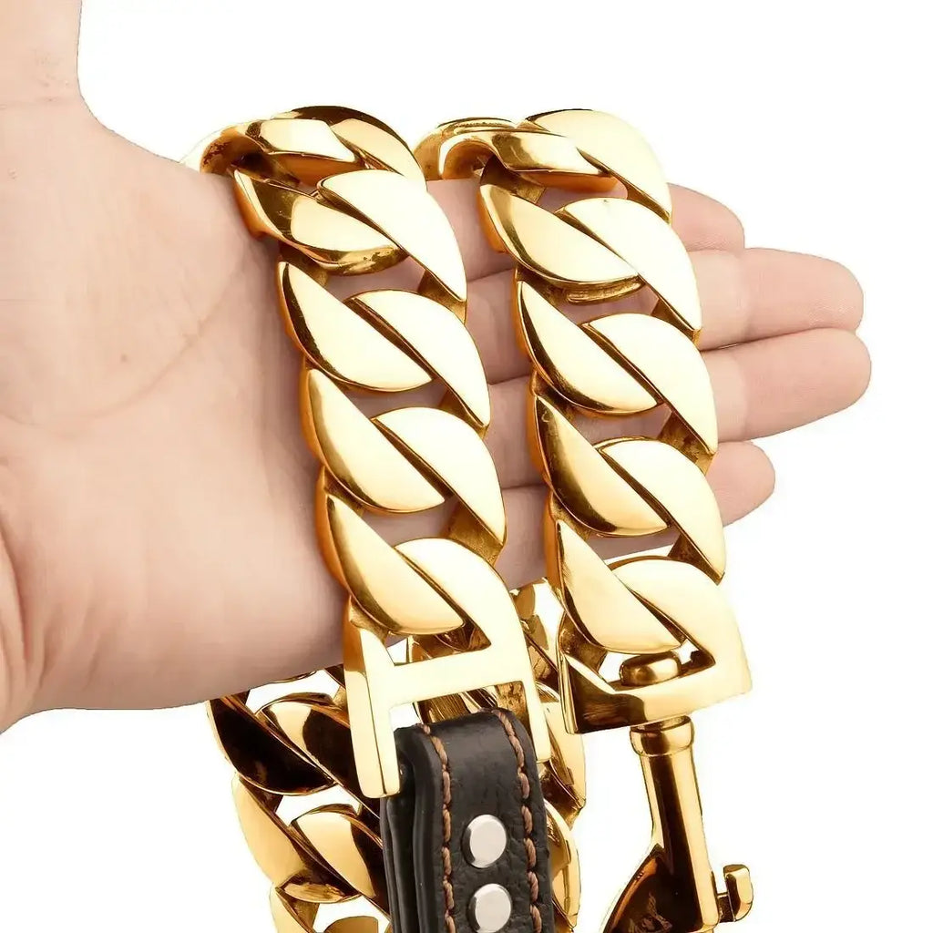 Stainless Steel Dog Leash