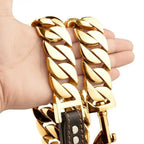 Stainless Steel Dog Leash