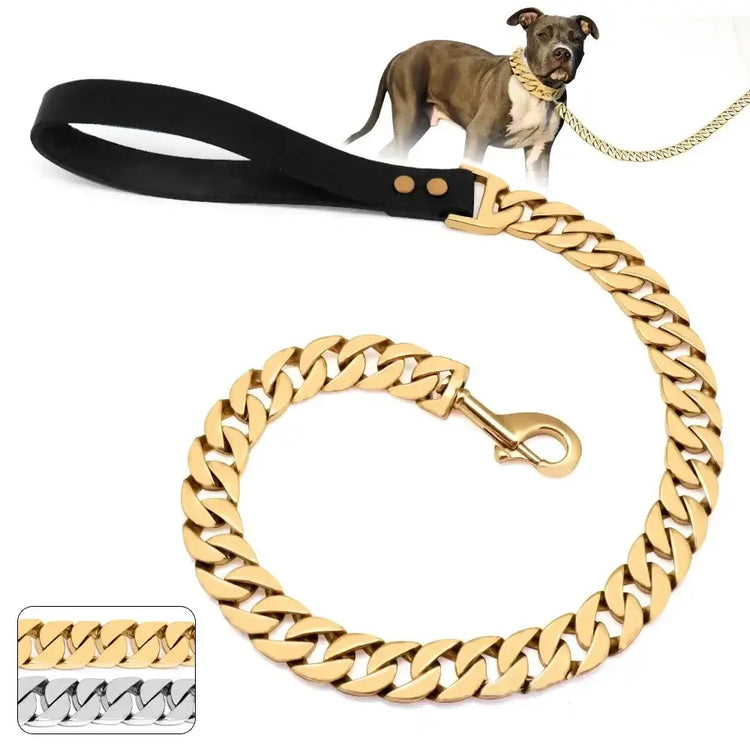 Laisse Chien Acier Inox – Durable & Premium | PawFrance