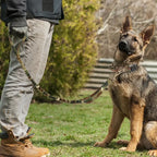 Strong Dog Military Tactical Collar