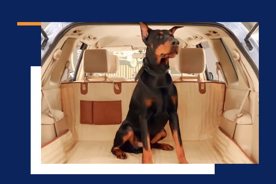 hamac pour chien pour voiture