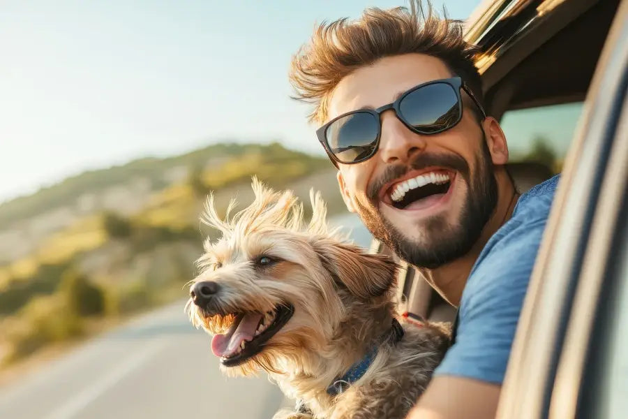 un papillon long poil noir et blanc assis attentivement sur fond teal pour des voyages en voiture avec chien