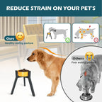 Support réglable en métal pour gamelle pour chien