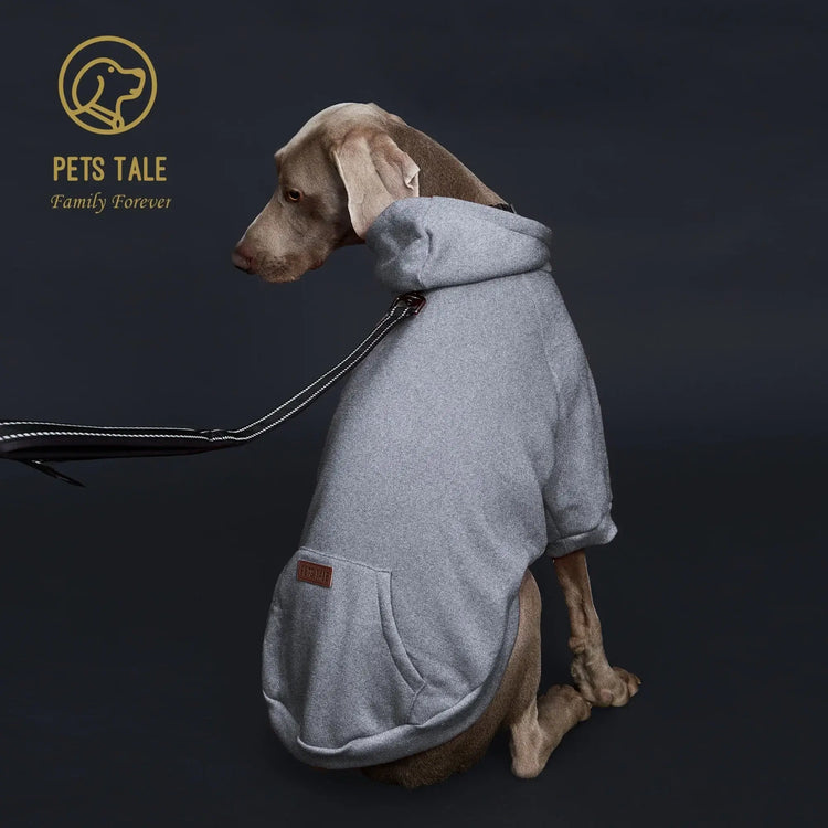 Sweat à capuche pour chien de couleur unie - GREY / 4XL