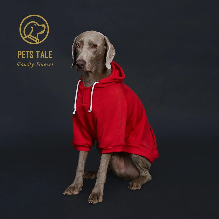 Sweat à capuche pour chien de couleur unie - RED / S