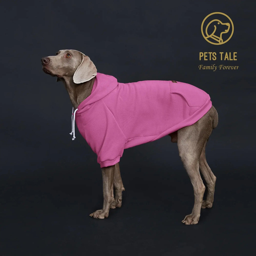 Sweat à capuche pour chien de couleur unie - ROSE RED / 4XL
