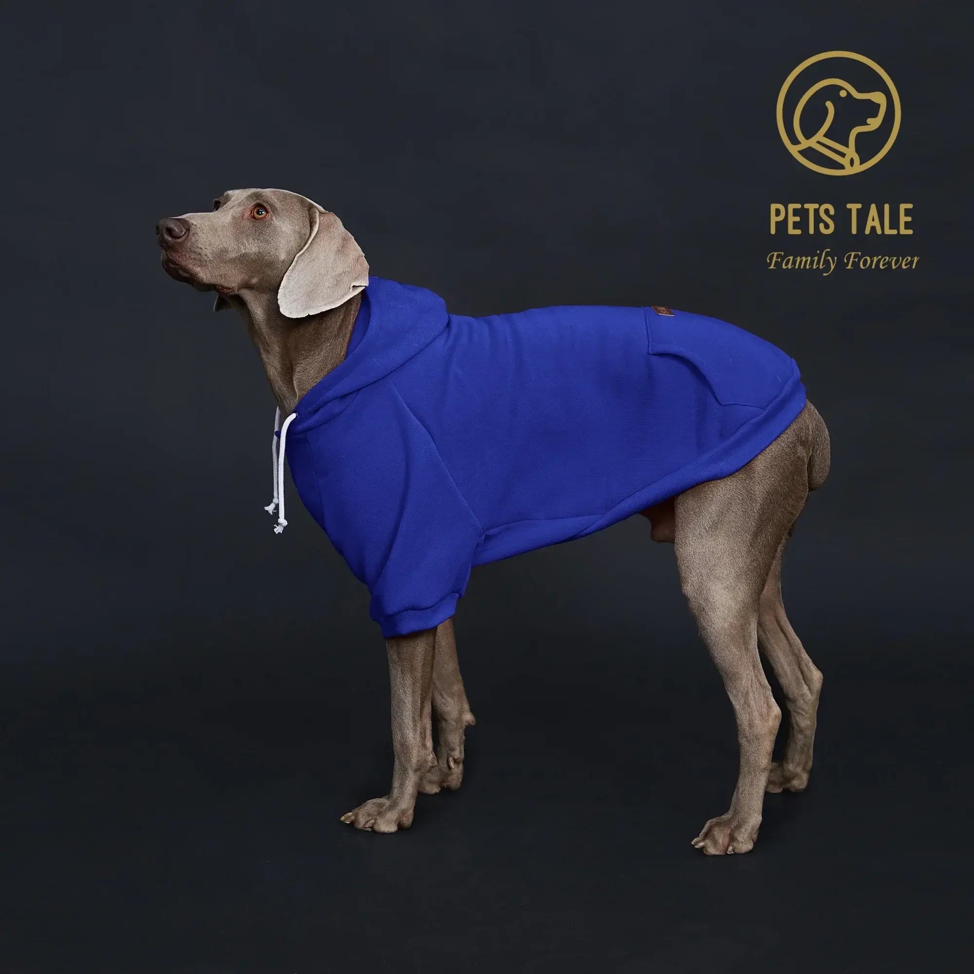 Sweat à capuche pour chien de couleur unie