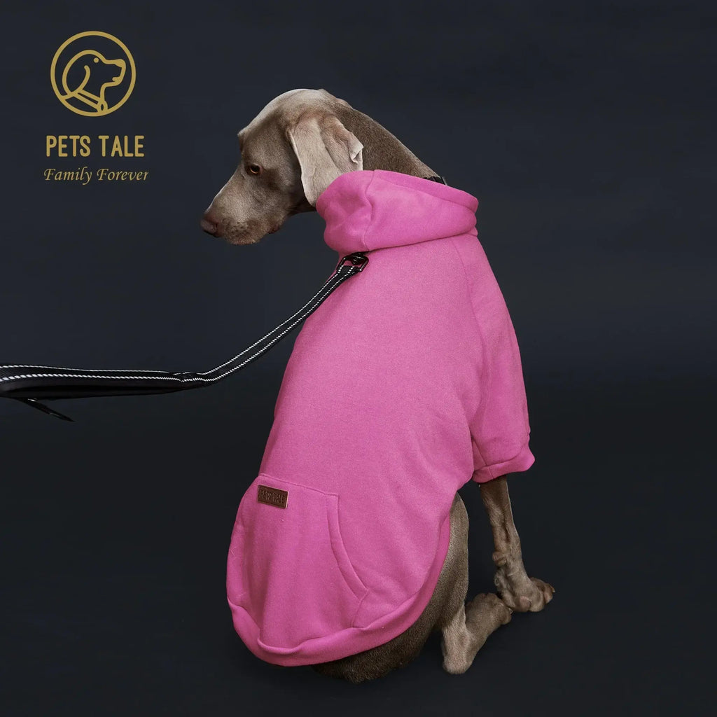 Sweat à capuche pour chien de couleur unie