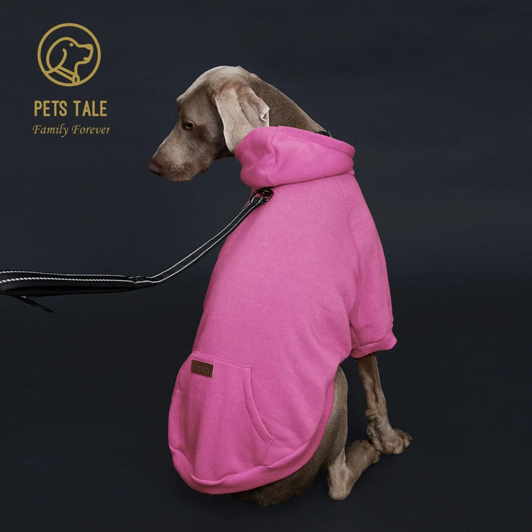 Sweat à capuche pour chien de couleur unie