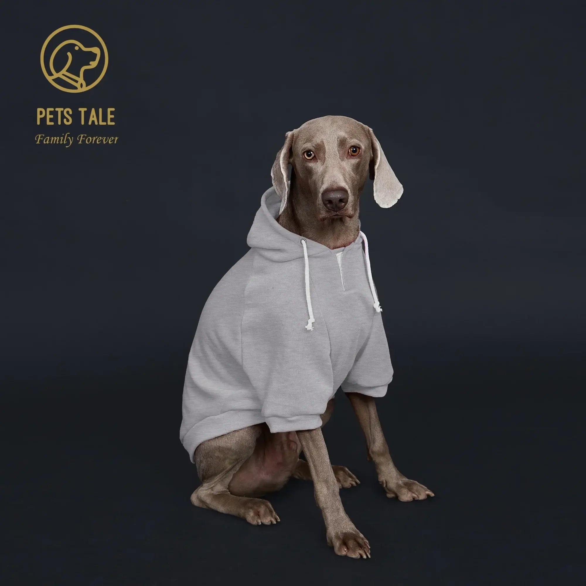Sweat à capuche pour chien de couleur unie