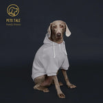 Sweat à capuche pour chien de couleur unie