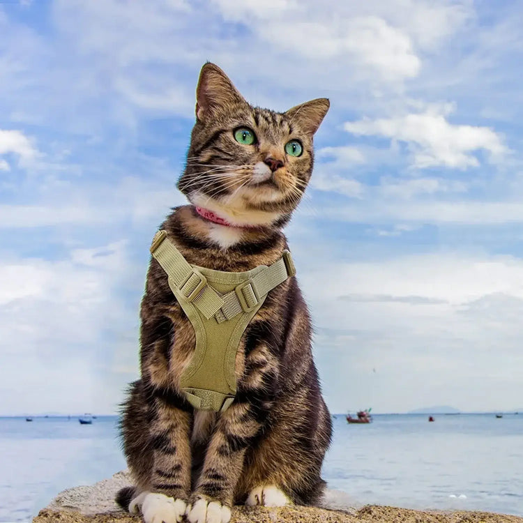 Tactical Military Vest Pet Tactical Training Cat Accessories Cat Dog Harness and Leash Set Kitten Accessories
