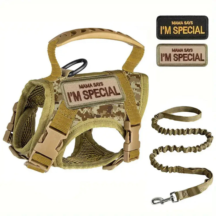 Tactical Military Vest Pet Tactical Training Cat Accessories Cat Dog Harness and Leash Set Kitten Accessories