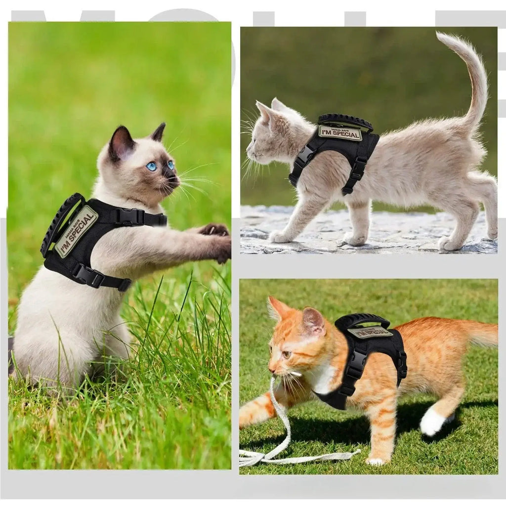 Tactical Military Vest Pet Tactical Training Cat Accessories Cat Dog Harness and Leash Set Kitten Accessories