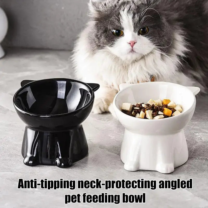 Tall-legged Cat Food and Water Bowl 15 Degree Tilted Design Anti-tipping for Neck-protection Suitable for Small Pets