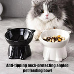 Tall-legged Cat Food and Water Bowl 15 Degree Tilted Design Anti-tipping for Neck-protection Suitable for Small Pets