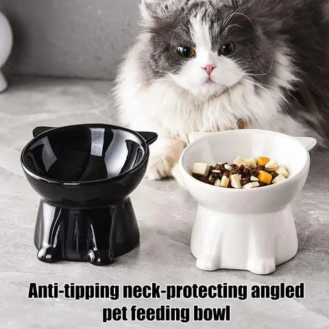 Tall-legged Cat Food and Water Bowl 15 Degree Tilted Design Anti-tipping for Neck-protection Suitable for Small Pets
