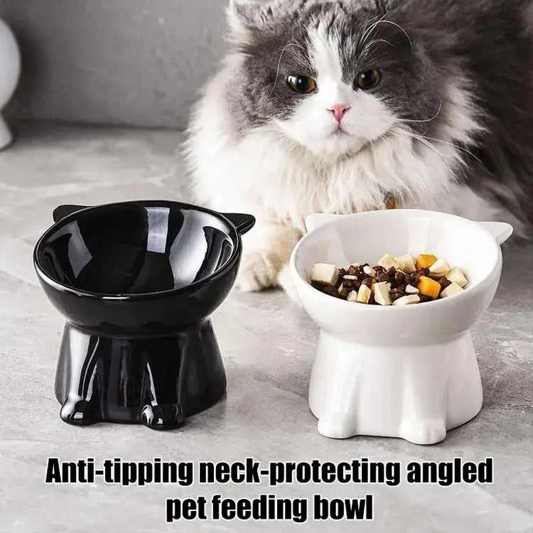 Tall-legged Cat Food and Water Bowl 15 Degree Tilted Design Anti-tipping for Neck-protection Suitable for Small Pets