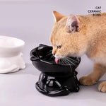 Tall-legged Cat Food and Water Bowl 15 Degree Tilted Design Anti-tipping for Neck-protection Suitable for Small Pets