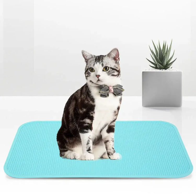 Tapis antidérapant pour toilettage animaux
