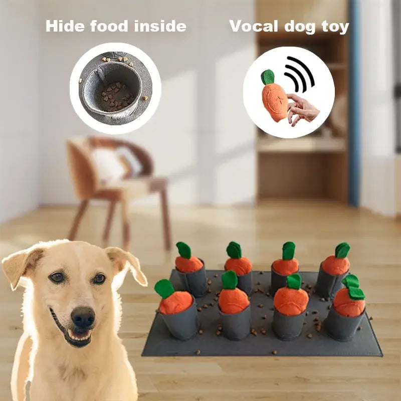Tapis de fouille chien – Snuffle Feeding Mat PawFrance