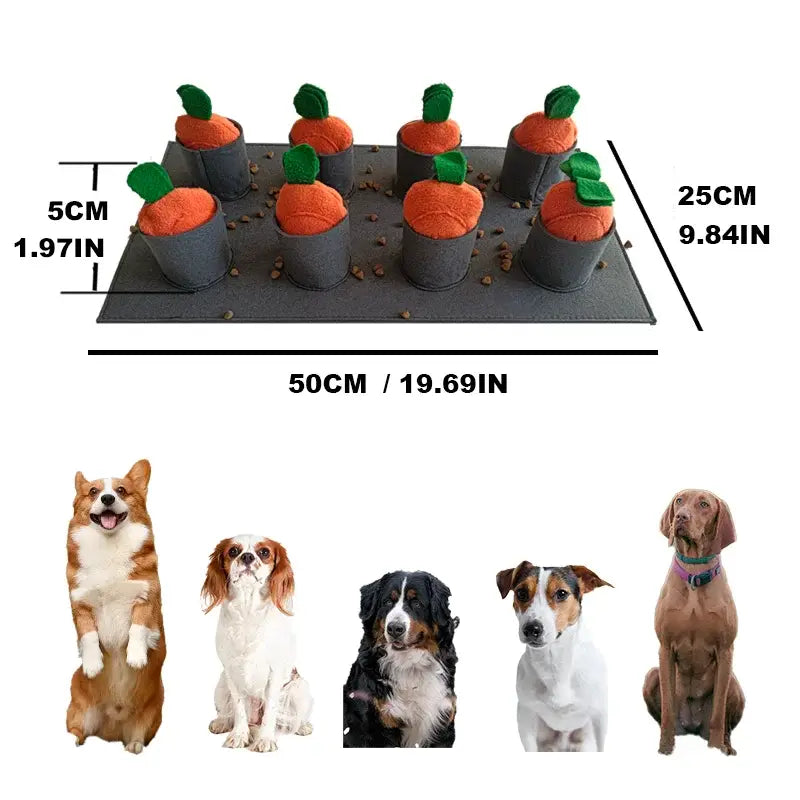 Tapis de fouille chien – Snuffle Feeding Mat PawFrance