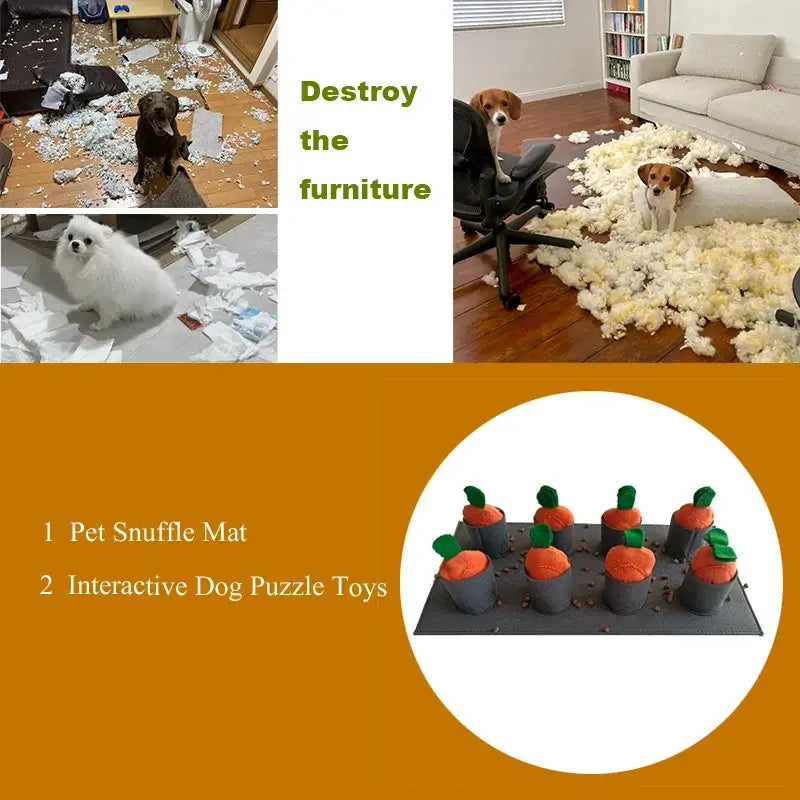 Tapis de fouille chien – Snuffle Feeding Mat PawFrance