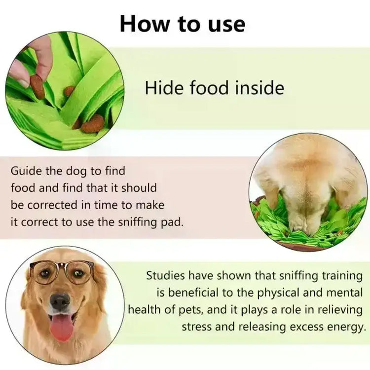 Tapis de Fouille Chien Interactif | Jeu Alimentaire