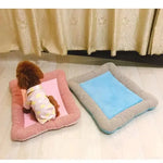 Tapis rafraîchissant chien