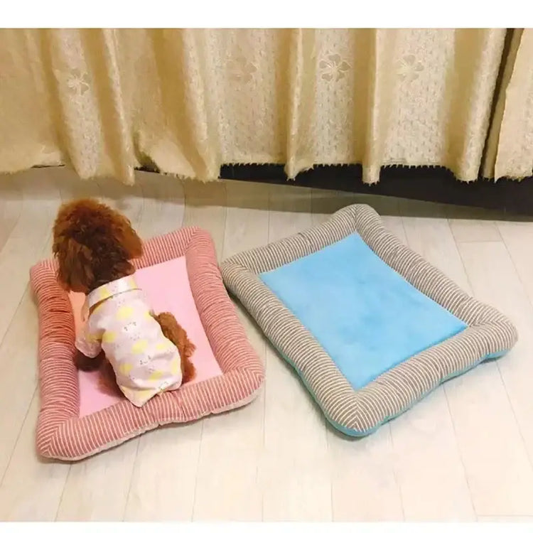 Tapis rafraîchissant chien
