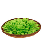 Tapis Renifleur Chien – Snuffle Feeding Mat 