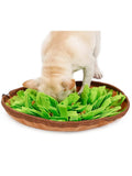 Tapis Renifleur Chien – Snuffle Feeding Mat 