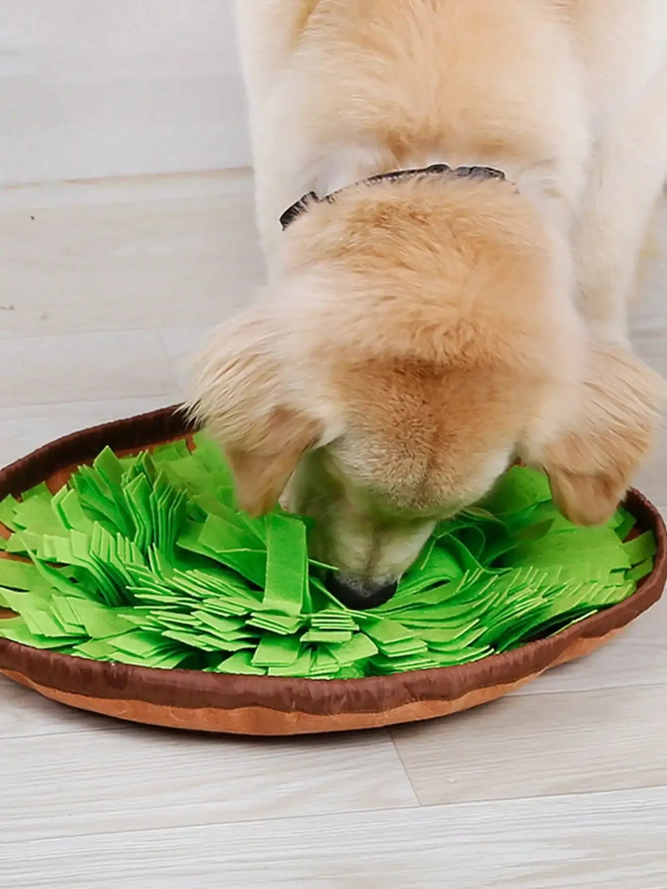 Tapis Renifleur Chien – Snuffle Feeding Mat 